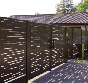 Pforte Eingangstür Gartentür Lübeck viele Größen